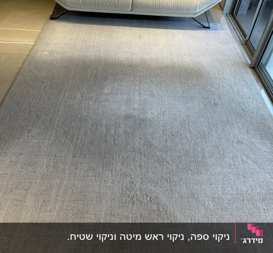 ספה ושטיח נקיים לאחר ניקוי